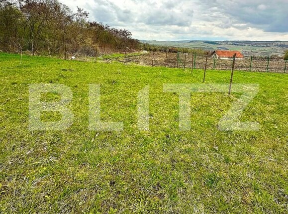 Teren de vânzare Coruşu - 169982TV | BLITZ Cluj-Napoca | Poza8