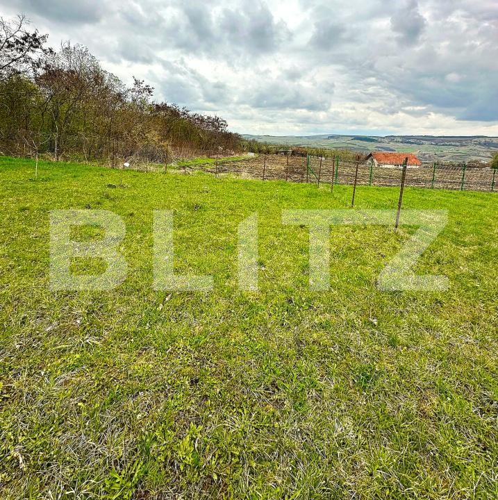 Teren de vânzare Coruşu - 169982TV | BLITZ Cluj-Napoca | Poza8