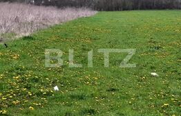 Teren intravilan 382mp, cu Puz aprobat prin HCL, in zona Borhanci