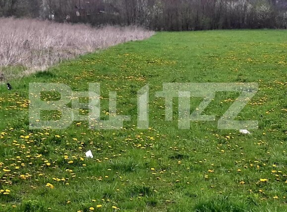 Teren de vânzare Borhanci - 169987TV | BLITZ Cluj-Napoca | Poza3