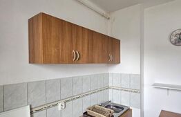 Apartament cu 1 camera, 46 mp, Calea Dorobantilor