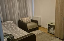 Apartament cu 1 camera decomandata, parter inalt, balcon, zona Porii