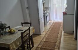 Apartament cu 1 camera decomandata, parter inalt, balcon, zona Porii