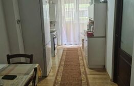 Apartament cu 1 camera decomandata, parter inalt, balcon, zona Porii