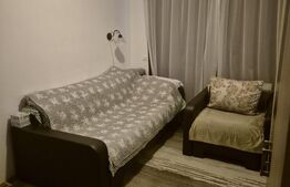 Apartament cu 1 camera decomandata, parter inalt, balcon, zona Porii