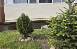 Apartament cu 1 camera decomandata, parter inalt, balcon, zona Porii