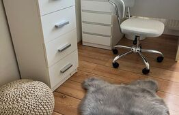 Apartament cu 3 camere, mobilat modern, parcare, zona Muzeul Apei