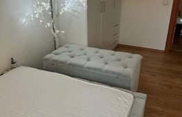 Apartament cu 3 camere, mobilat modern, parcare, zona Muzeul Apei