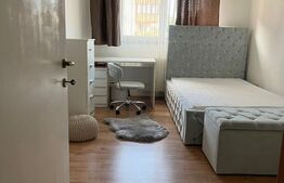 Apartament cu 3 camere, mobilat modern, parcare, zona Muzeul Apei