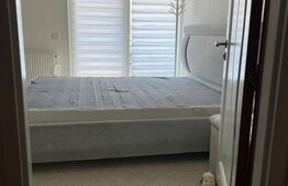 Apartament cu 3 camere, mobilat modern, parcare, zona Muzeul Apei