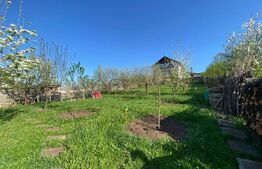 Casă de vânzare în Baciu, Mera – liniște, spațiu și natură la doar 13 km de oraș