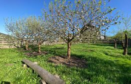 Casă de vânzare în Baciu, Mera – liniște, spațiu și natură la doar 13 km de oraș