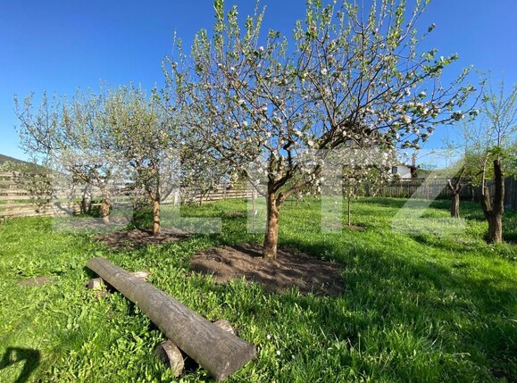 Casa de vânzare 5 camere Baciu - 170074CV | BLITZ Cluj-Napoca | Poza22