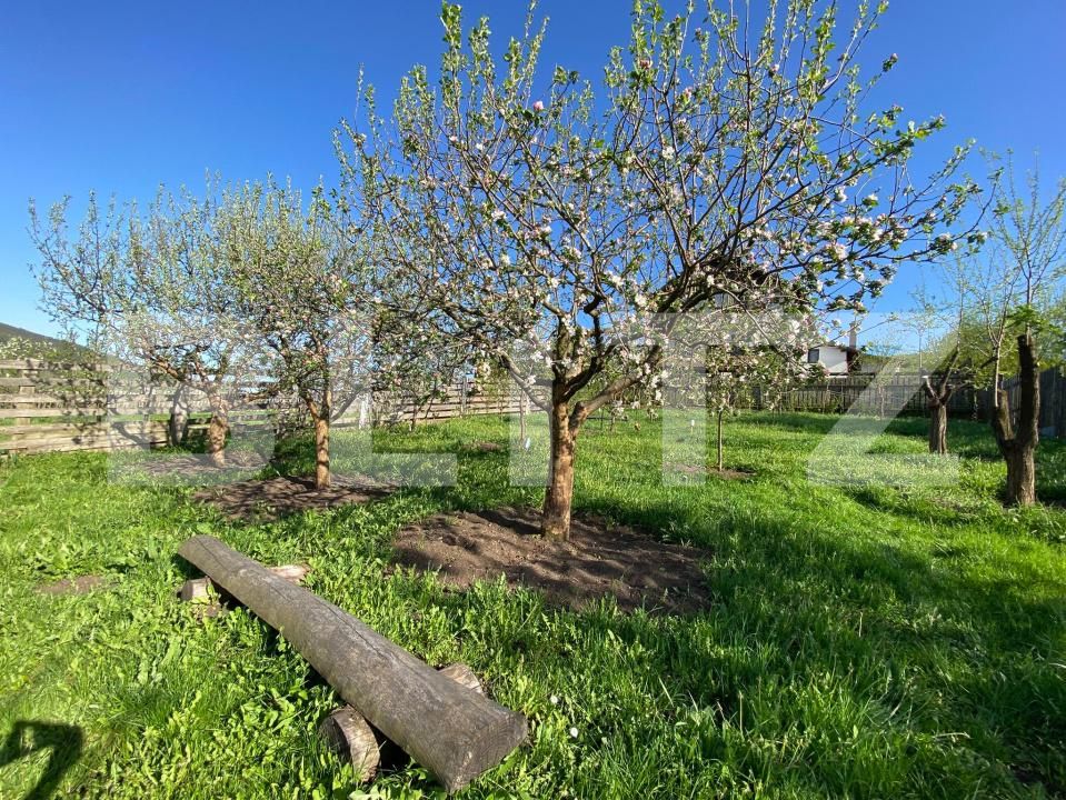 Casa de vânzare 5 camere Baciu - 170074CV | BLITZ Cluj-Napoca | Poza22