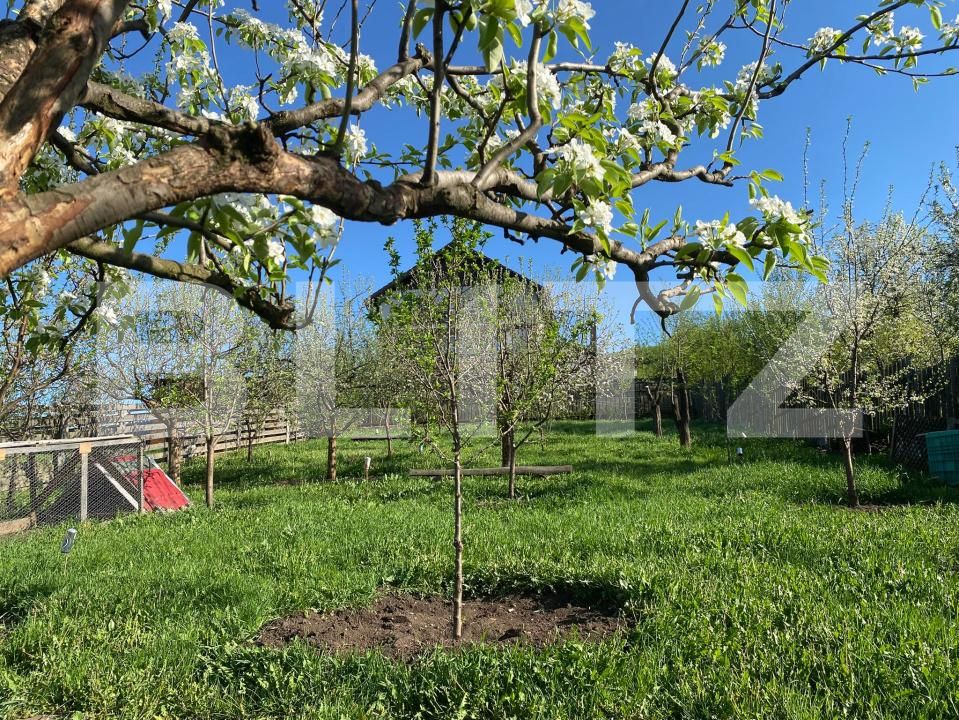 Casa de vânzare 5 camere Baciu - 170074CV | BLITZ Cluj-Napoca | Poza3