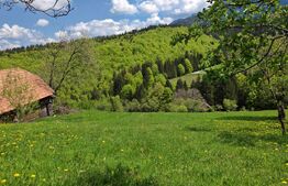 Teren intravilan 3400 mp, in Balaban - Simon, Bran - Brasov 