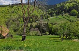 Teren intravilan 3400 mp, in Balaban - Simon, Bran - Brasov 