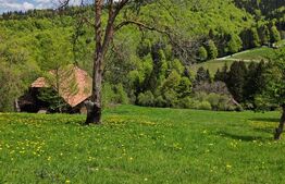 Teren intravilan 3400 mp, in Balaban - Simon, Bran - Brasov 