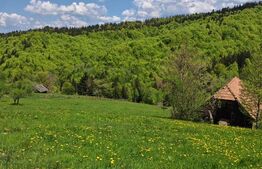 Teren intravilan 3400 mp, in Balaban - Simon, Bran - Brasov 