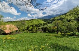 Teren intravilan 3400 mp, in Balaban - Simon, Bran - Brasov 