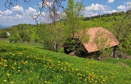 Teren intravilan 3400 mp, in Balaban - Simon, Bran - Brasov 