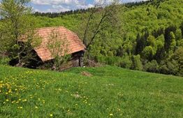Teren intravilan 3400 mp, in Balaban - Simon, Bran - Brasov 