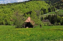 Teren intravilan 3400 mp, in Balaban - Simon, Bran - Brasov 