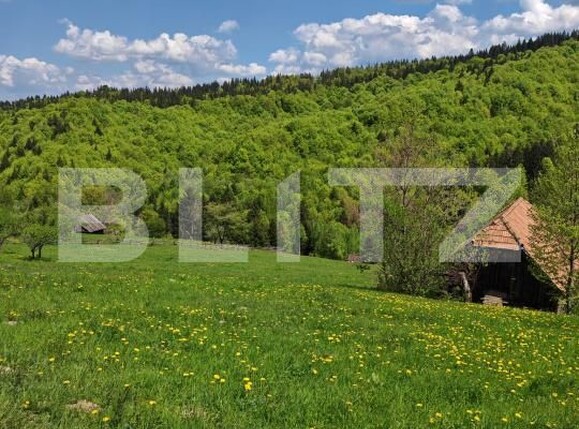 Teren de vânzare Bran - 170081TV | BLITZ Brașov | Poza7
