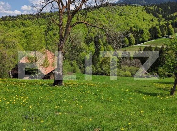 Teren de vânzare Bran - 170081TV | BLITZ Brașov | Poza5