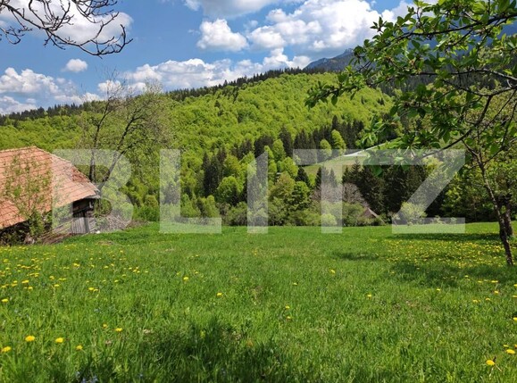 Teren de vânzare Bran - 170081TV | BLITZ Brașov | Poza2