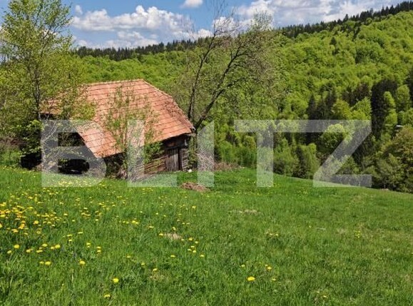 Teren de vânzare Bran - 170081TV | BLITZ Brașov | Poza3