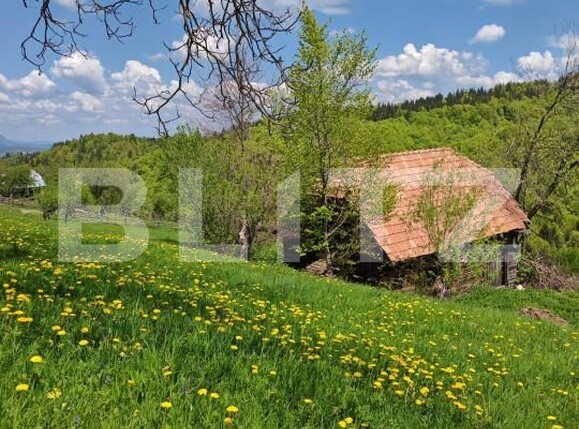 Teren de vânzare Bran - 170081TV | BLITZ Brașov | Poza1