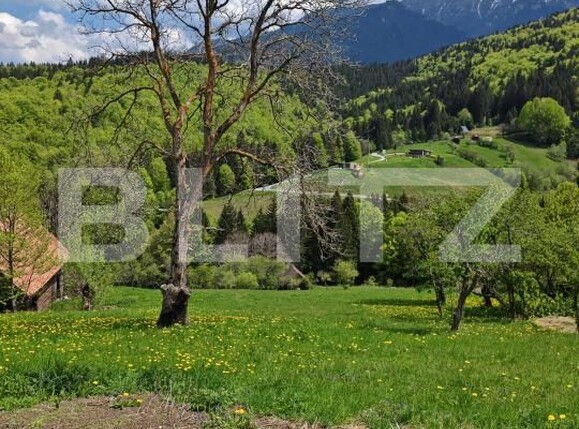 Teren de vânzare Bran - 170081TV | BLITZ Brașov | Poza8