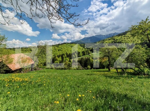 Teren de vânzare Bran - 170081TV | BLITZ Brașov | Poza4