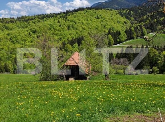 Teren de vânzare Bran - 170081TV | BLITZ Brașov | Poza6