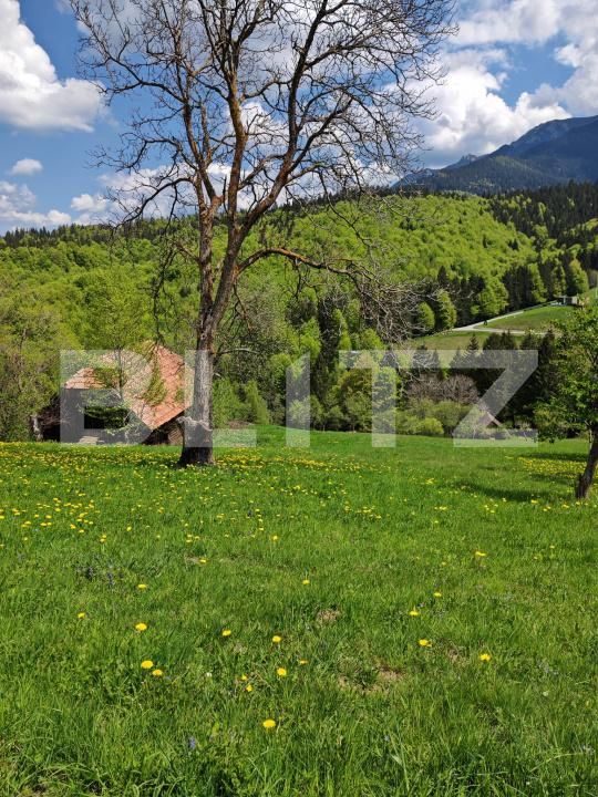 Teren de vânzare Bran - 170081TV | BLITZ Brașov | Poza5