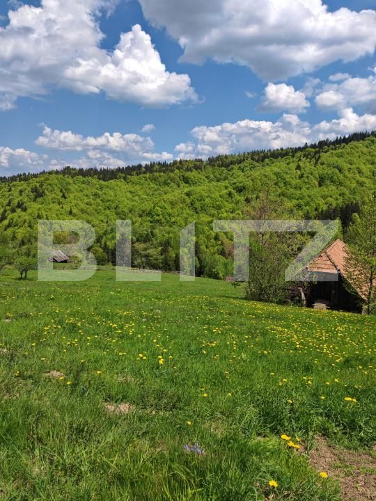 Teren de vânzare Bran - 170081TV | BLITZ Brașov | Poza7