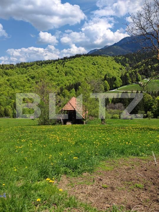 Teren de vânzare Bran - 170081TV | BLITZ Brașov | Poza6