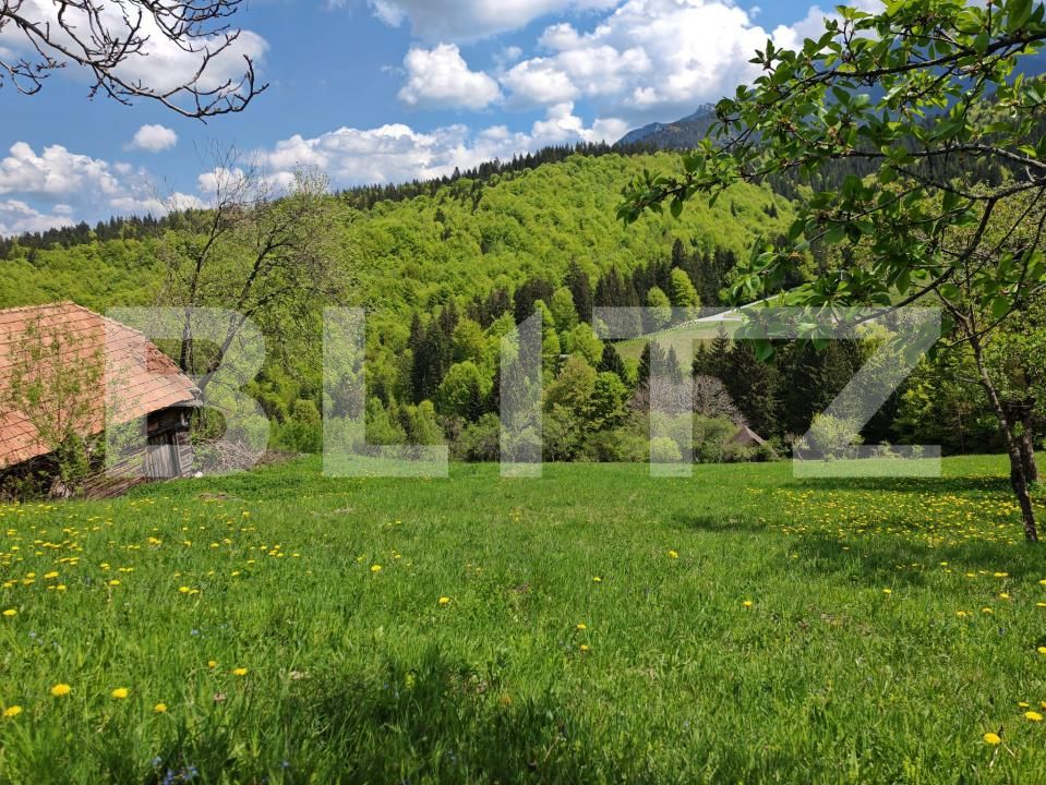 Teren de vânzare Bran - 170081TV | BLITZ Brașov | Poza2