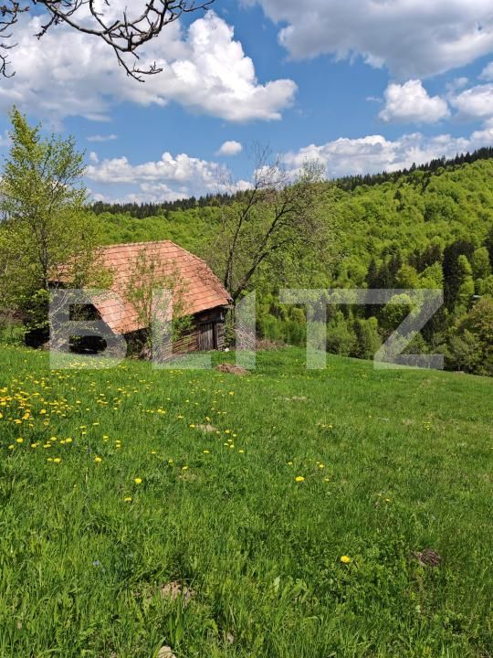Teren de vânzare Bran - 170081TV | BLITZ Brașov | Poza3