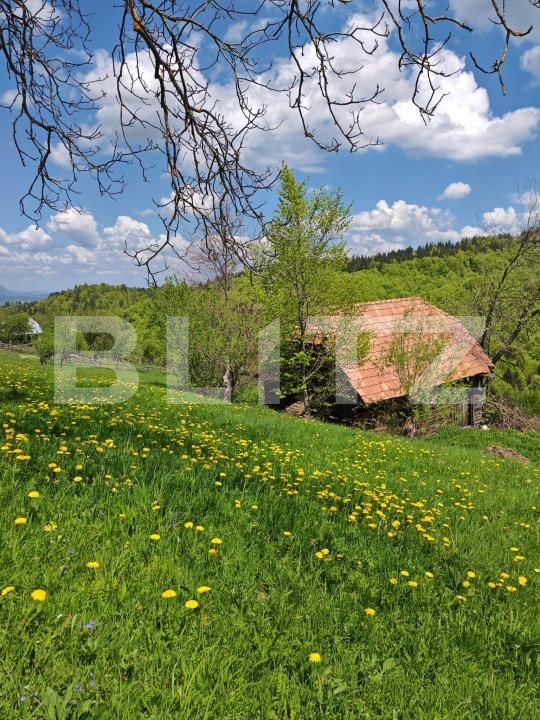 Teren de vânzare Bran - 170081TV | BLITZ Brașov | Poza1