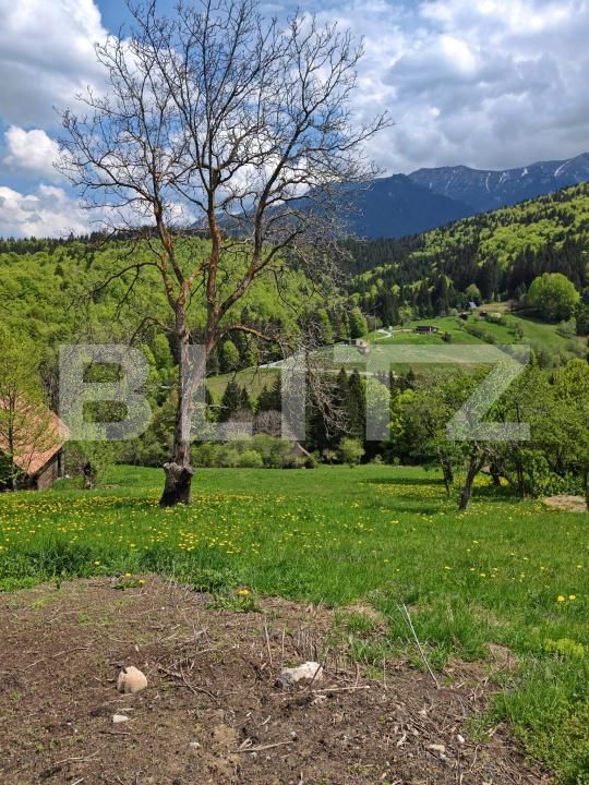 Teren de vânzare Bran - 170081TV | BLITZ Brașov | Poza8