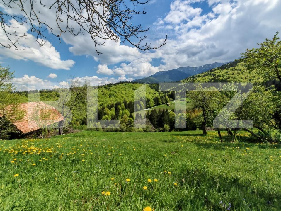 Teren de vânzare Bran - 170081TV | BLITZ Brașov | Poza4