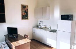 Apartament premium 3 camere, în vilă, ultracentral – investiție excelenta
