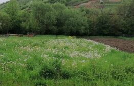 Oportunitate Vlaha ! Teren Intravilan, plan drept, toate utilitatile !