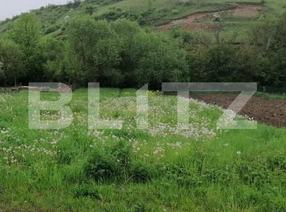 Teren de vânzare Gilău - 170152TV | BLITZ Cluj-Napoca | Poza1