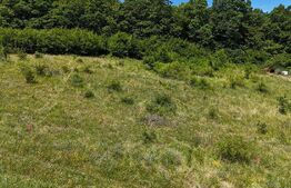 OPORTUNITATE! Teren intravilan 700 mp, Chinteni