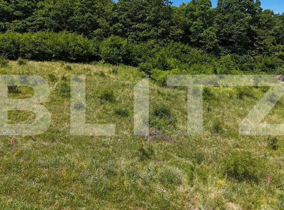 Teren de vânzare Exterior Nord - 170162TV | BLITZ Cluj-Napoca | Poza3