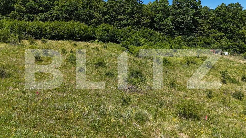 Teren de vânzare Exterior Nord - 170162TV | BLITZ Cluj-Napoca | Poza3