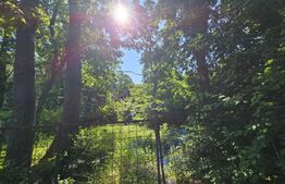 Ocazie! Casa la rosu, cu teren de 9748 mp, zona camping Faget, in padure!